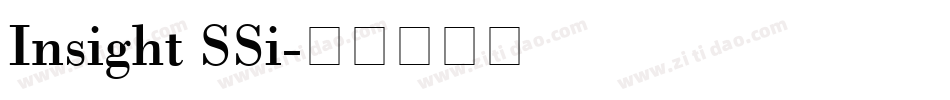 Insight SSi字体转换